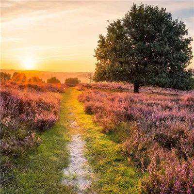 万博下载地址苹果版